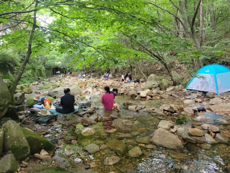  대둔산 수락계곡 물놀이 최고