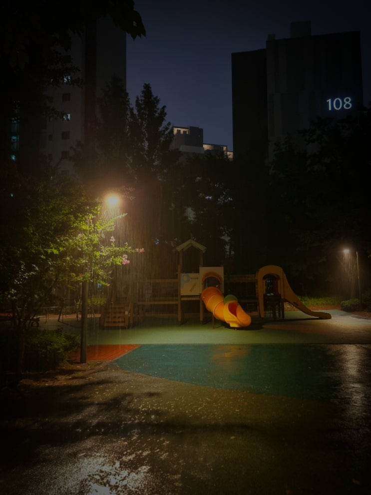  당신의 밤
