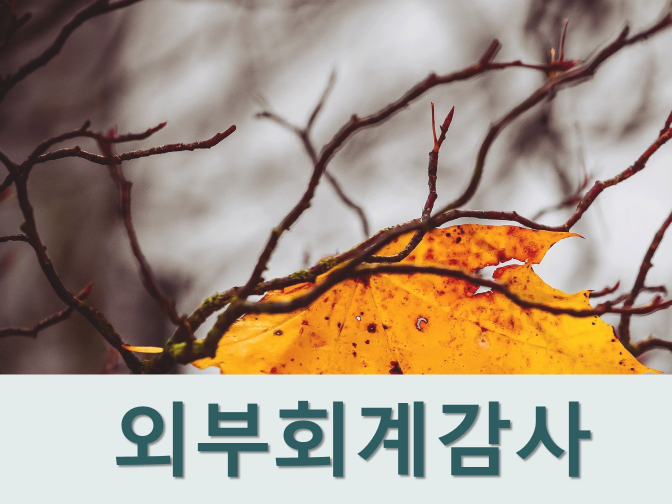  외부회계감사 대상 요건 정확하게 알아보자