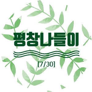  평창더위사냥축제·평창올림픽시장 나들이~
