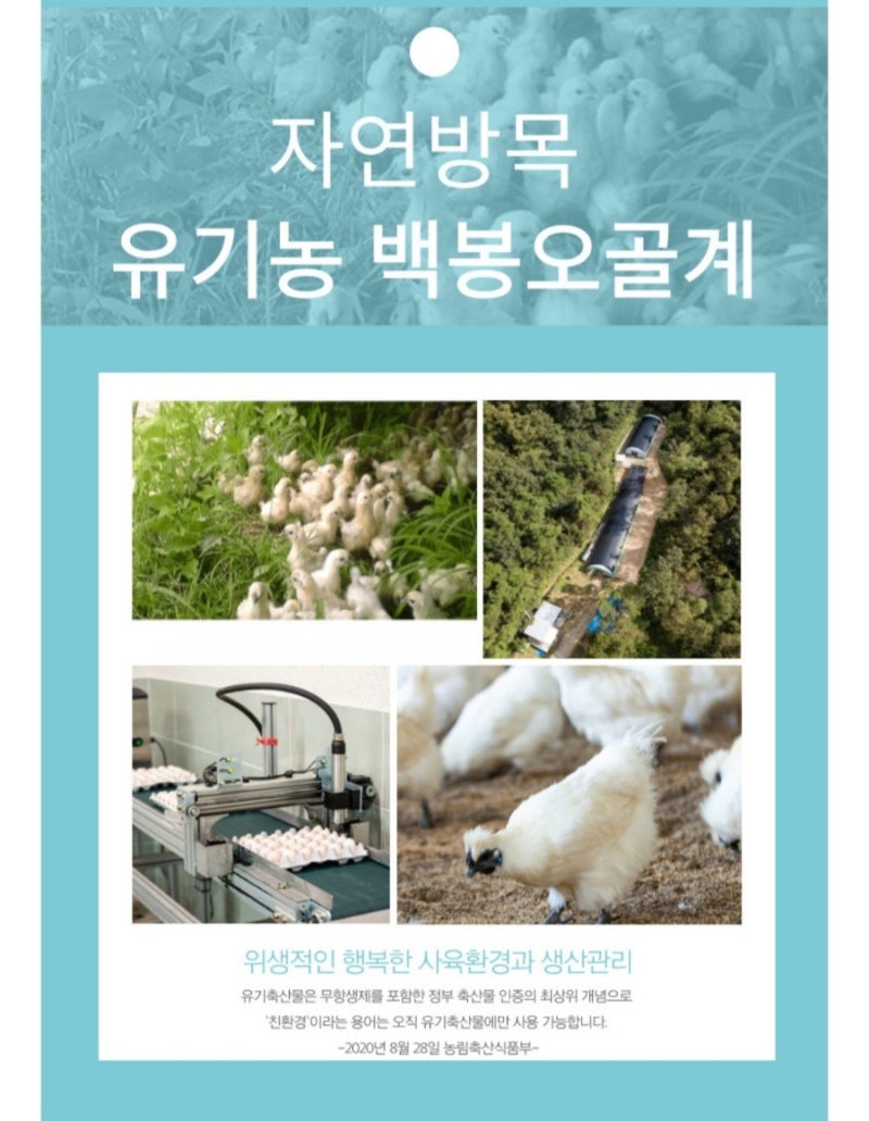 멋진아재몰에서 백봉오골계 삼계탕과 오골계 유정란을 구매했어요 : 네이버 블로그 멋진아재몰에서 백봉오골계 삼계탕과 오골계 유정란을 구매했어요 : 네이버 블로그