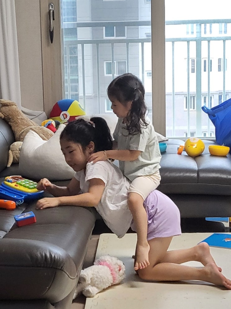  조카를 만나러