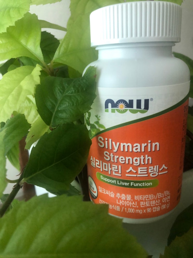  나우푸드 실리마린 밀크씨슬 간영양제 스트렝스 효과 비타민샵
