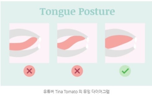 뮤잉운동 후기 효과 얼굴형을 예쁘게 만드는 팁 : 네이버 블로그