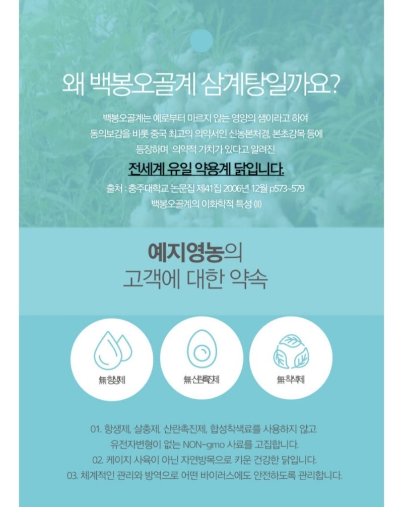 멋진아재몰에서 백봉오골계 삼계탕과 오골계 유정란을 구매했어요 : 네이버 블로그 멋진아재몰에서 백봉오골계 삼계탕과 오골계 유정란을 구매했어요 : 네이버 블로그