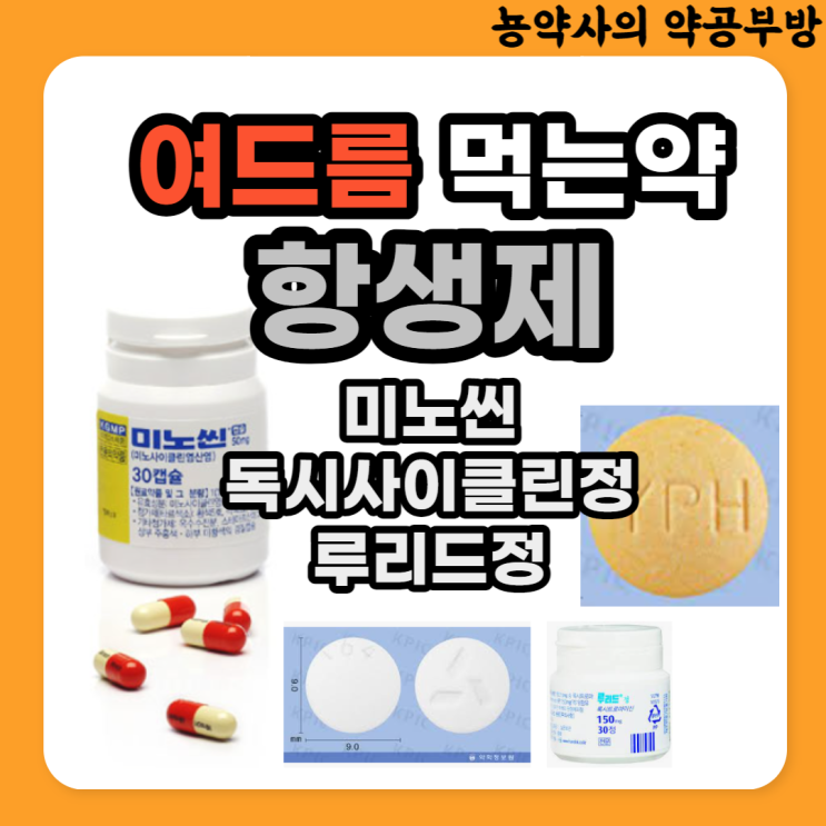  여드름 먹는약 (항생제, 미노씬, 독시사이클린정, 루리드정, 부작용)
