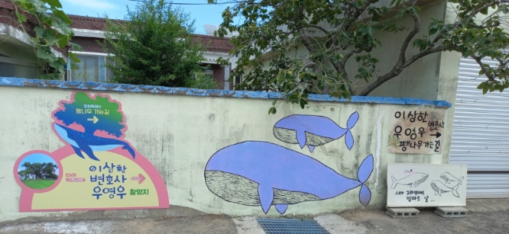  이상한 변호사 우영우 촬영장소 창원 소덕동 팽나무 주차팁, 기타 정보