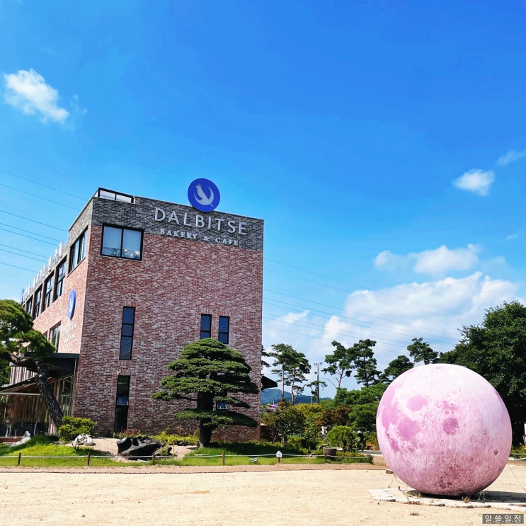  남양주 진접 초대형 야외 카페 - 달빛새 베이커리앤카페 (반려동물 동반 가능!)