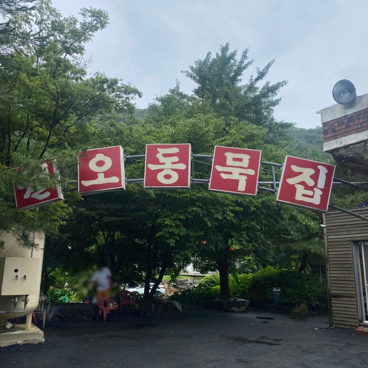  [청주 맛집] 월오동 묵집 - 도토리 묵정식 추천!