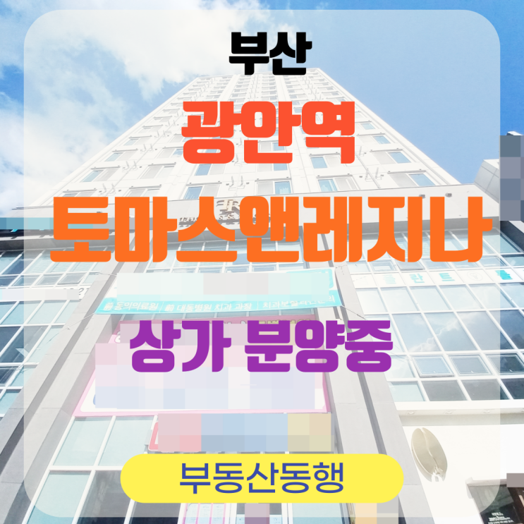 [더블역세권 상가]광안역 토마스앤레지나 상가 분양, 부동산 흐름 파악하기