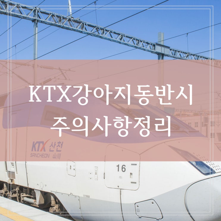 ktx 강아지 애견 동반 기차 반려견과 함께 탑승할 경우 좌석 예매하는 법과 부정승차 벌금은 얼마일까