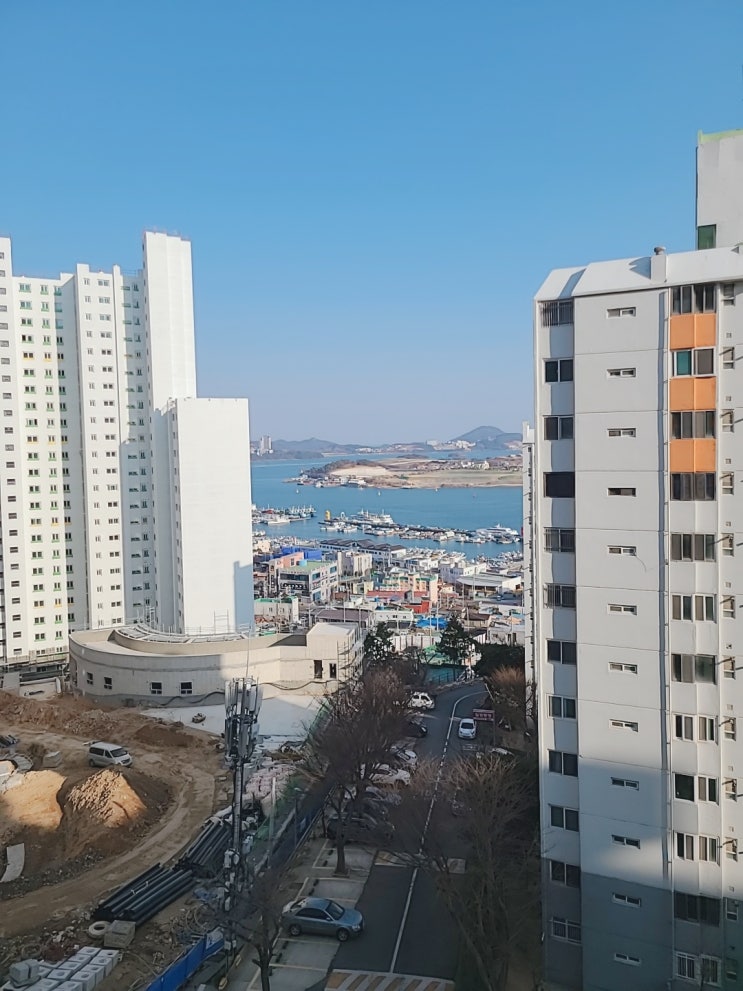  부동산중개시 토지가격과 건물가격 안분하기