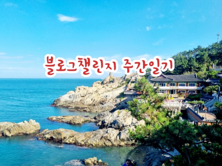  [블챌] 주간일기 챌린지 7/29~8/4