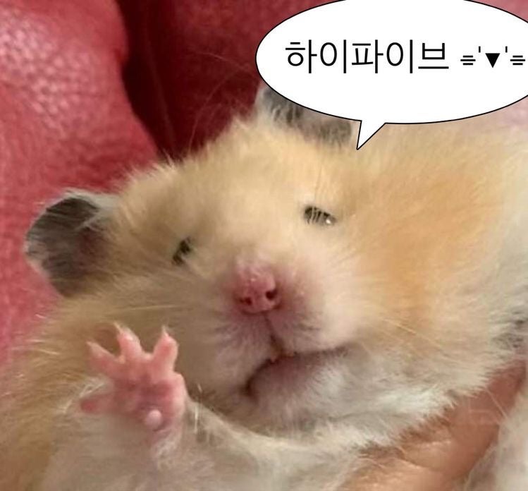 (주)송파키즈 이미지
