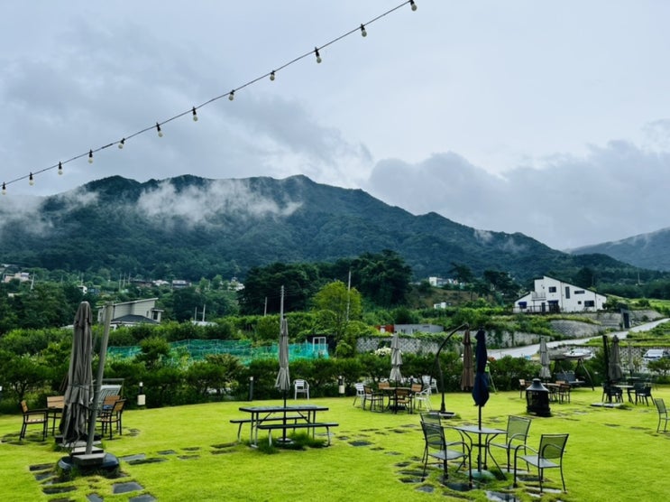  산이 보이고 하늘이 보이는 곳! 잔디위에서 아이들이 뛰어다닐수 있는 실외, 실내와 편안한 쇼파가 있는 원주 카페 “라돌체비타”