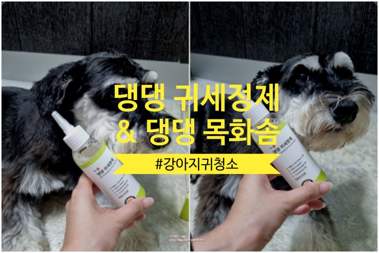 강아지 화장솜 헬로마이펫 댕댕목화솜으로 강아지 귀 세척하는 방법