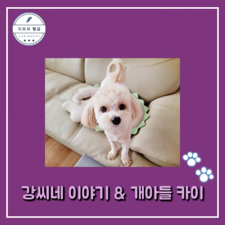  강씨네 집에서 장어 배 터지게 먹던 날 (개 아들 카이는 말티푸 에요)