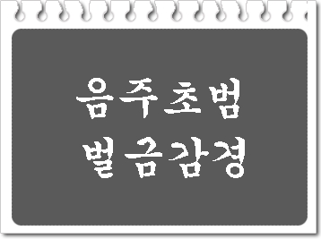  음주운전 초범 벌금 등 선처를