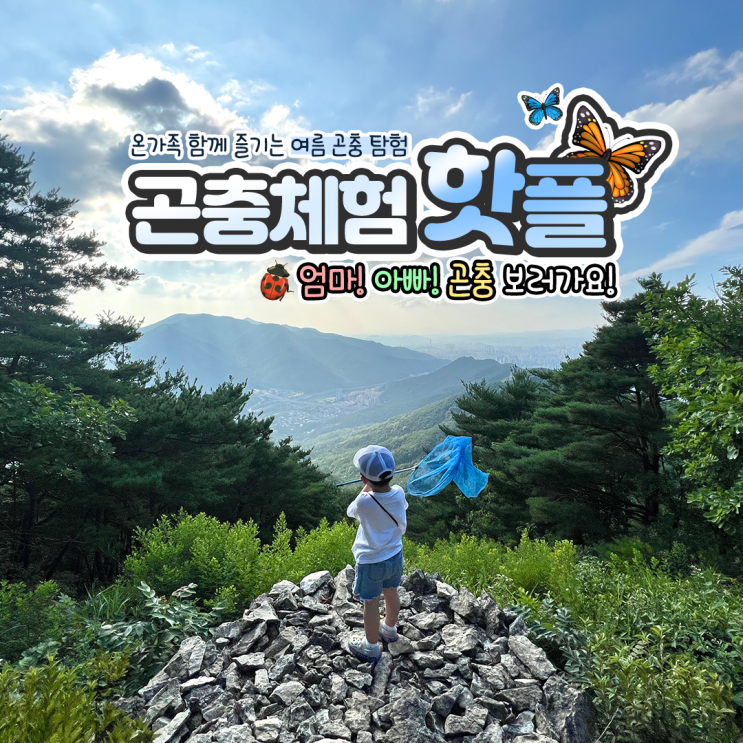  [곤충체험 핫플 : 전라도편] 온가족이 함께 즐기는 여름 곤충 탐험! 체험학습과 시원한 휴가까지~