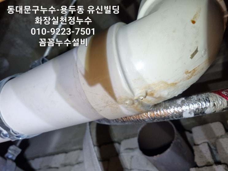  동대문구누수-용두동 유신빌딩 화장실천정누수