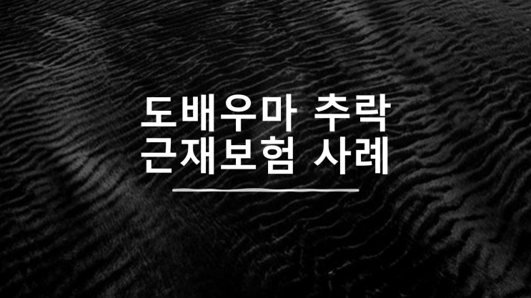  도배우마에서 추락 근재보험 손해사정(사례)
