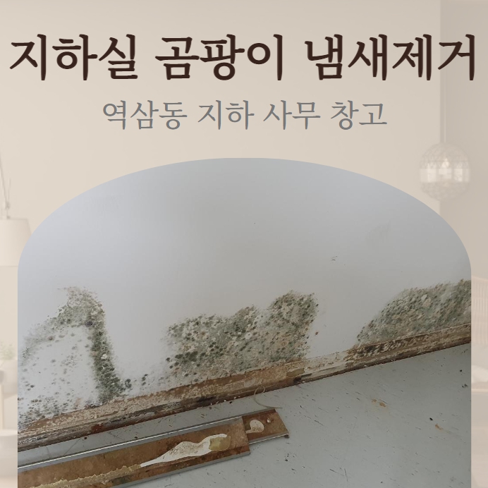  창고 지하실 습기와 곰팡이 냄새 제거를 동시에~ 원인부터 잡아야죠!