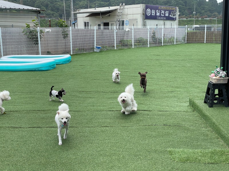 사진 4