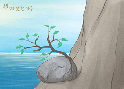 절벽에 뿌리를 내리다 절벽에 뿌리를 내리다