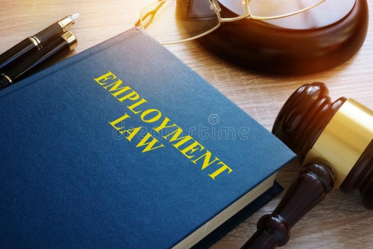  [노동법] 겸직금지의무, 겸업제한규정 위반 징계의 정당성 인정 요건 및  판례의 태도