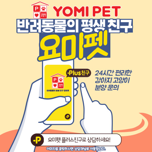강아지분양 쉽지만 안전하게