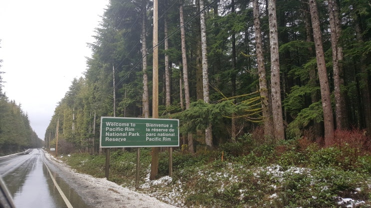  (토피노) Tofino Pacific Rim National Park