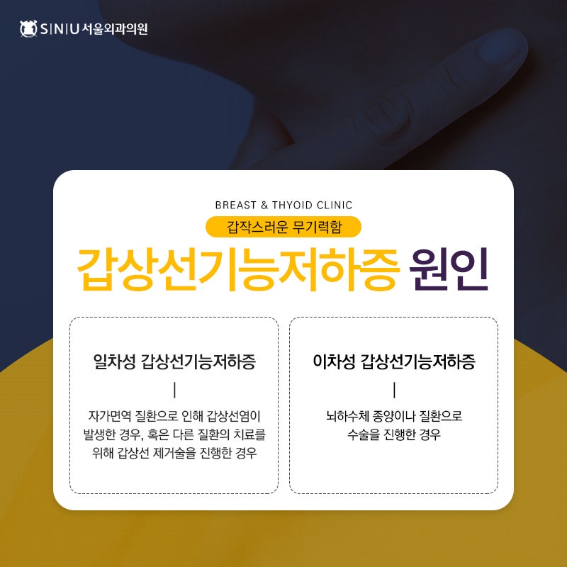 갑작스러운 체중 증가, 갑상선기능저하증 때문에? [강동구외과]