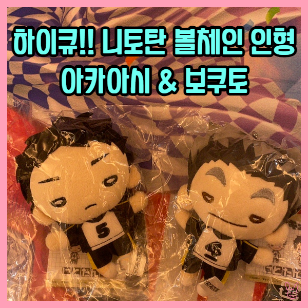  [입고완료][하이큐!!] 니토탄 볼체인 인형 아카아시&보쿠토