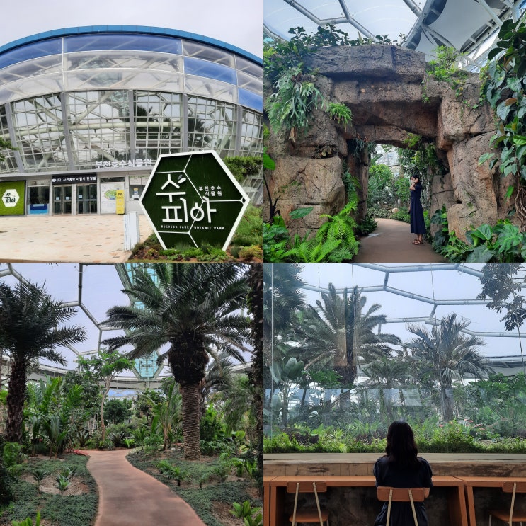  부천 상동호수공원 실내 식물원 '수피아'에서 힐링타임