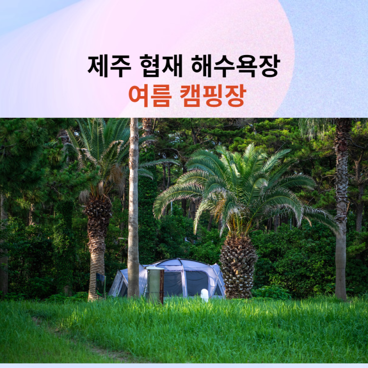 야자수와 함께 제주 협재 해수욕장 무료 캠핑장