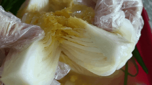 맛남 TV 썰맨님의 여름 알배추 백김치/ 백김치 깔끔하게 담그는 법