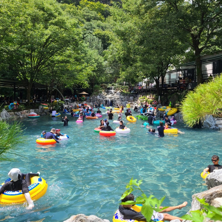  동상계곡 전주 물놀이 평상대여 하기 좋은 곳 - 대아리 977 네이버 예약 팁, 화심순두부 (내돈내산)