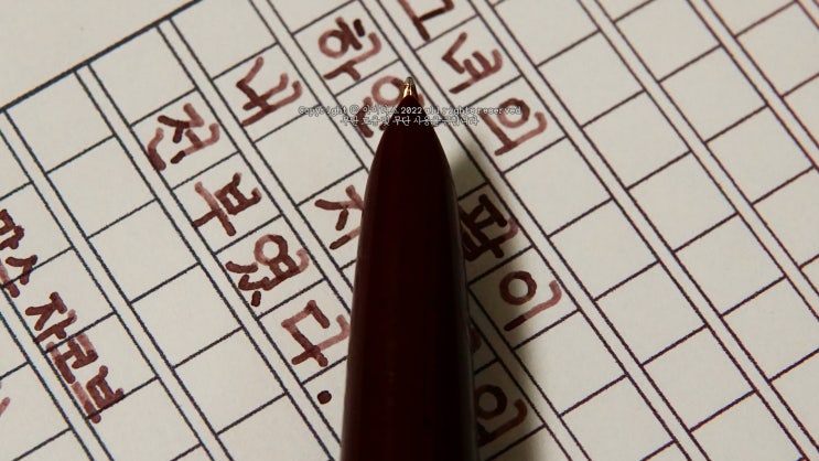  지평선 (ft. 파카 오리지널 51 M닙 만년필 실제 사용 영상)