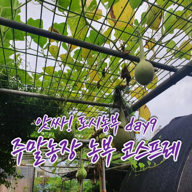  앗싸! 도시농부 Day9
