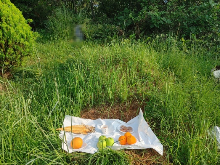  경북 고령군 우곡면에서 산소 개장 후 자연장으로 모셨습니다.