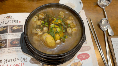 수원 삼계탕 맛집 백세삼계탕 수원조원점 영양가득 걸죽한 한방삼계탕
