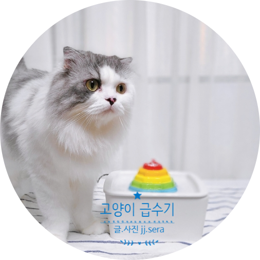  음수량이 고민이라면 이젠케이 강아지 고양이 급수기로 바꿔주세요(고양이 정수기)