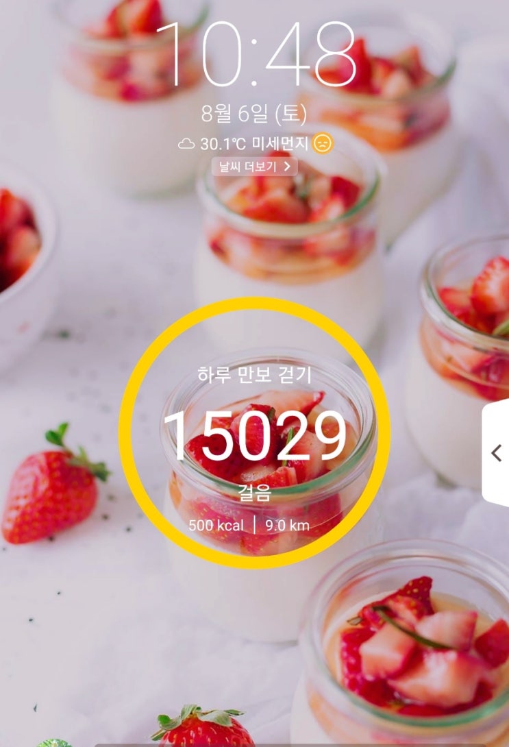  [네이버주간일기챌린지]하루만보걷기 유산소운동