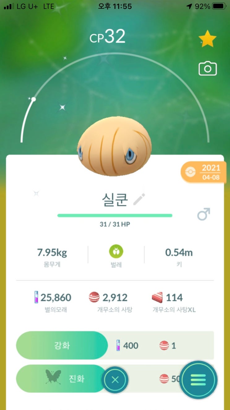  개무소 이로치 진화(수컷)