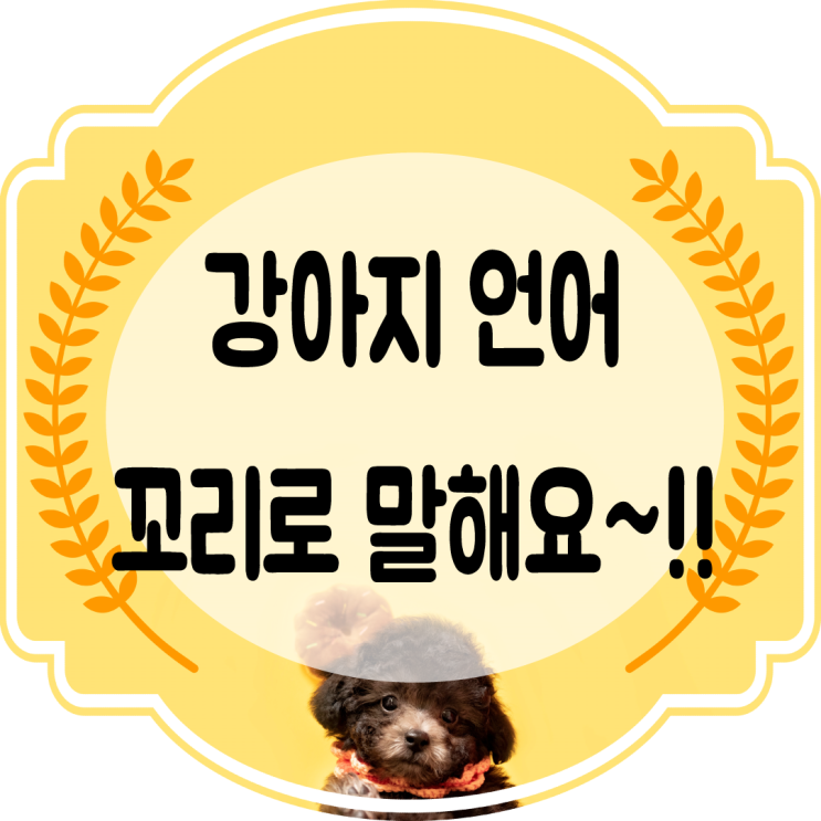  강아지 언어표현 ~ 꼬리 의미를 알아보자~!!