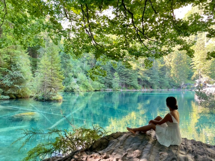  스위스 여행_Day7. 요정이 나올 것 같은 블라우제 호수 & 갬성 나무 장작 바베큐 [Blausee]