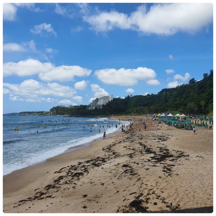  제주 서귀포 가볼만한곳 중문색달해수욕장 중문 서핑 김서프 제주 산방산 나들목 제주 갈치조림 맛집