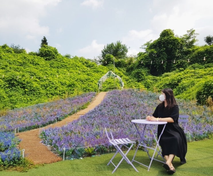  원주 카페 sns핫플 예쁜 카페 사진 맛집인 사진정원에 갔다 왔어요 - 2