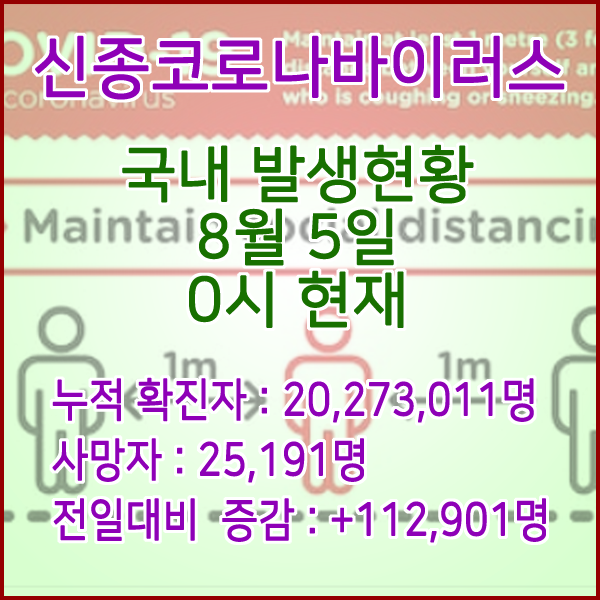  코로나19(코로나바이러스) 8월 5일 0시 신규확진자 112,901명 / 사망자 25,191명