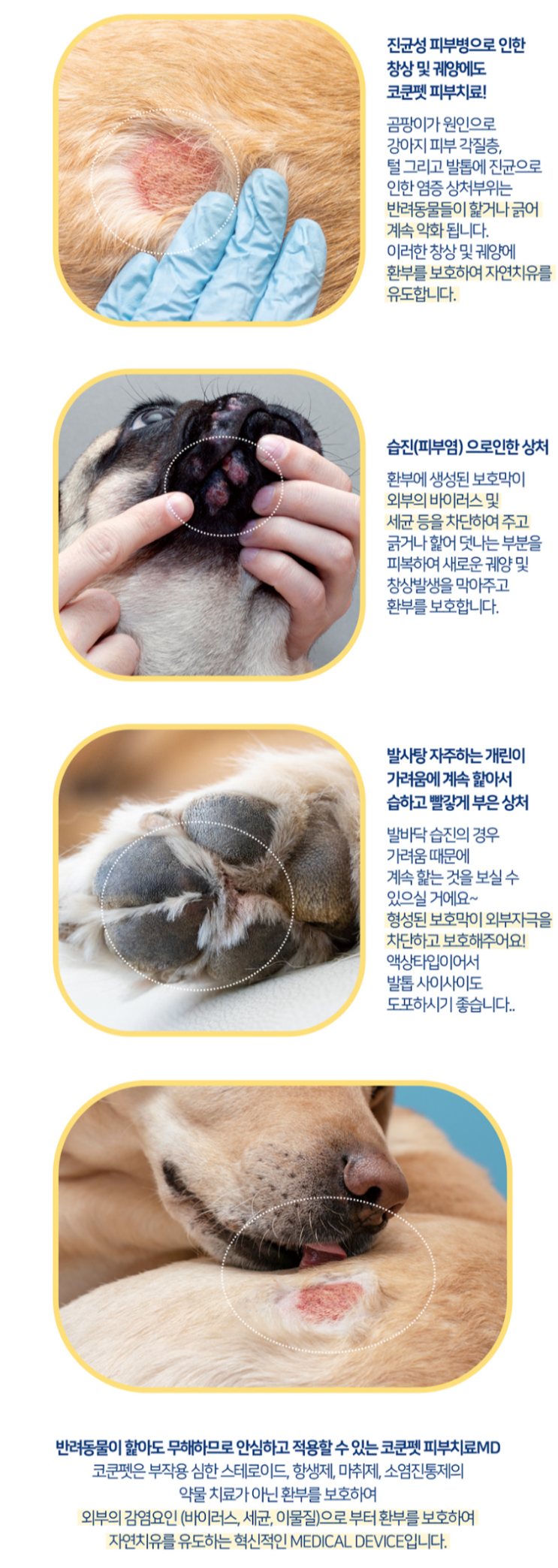 강아지 피부상처 치료를위한 연고 코쿤펫 피부습진 상처치료제
